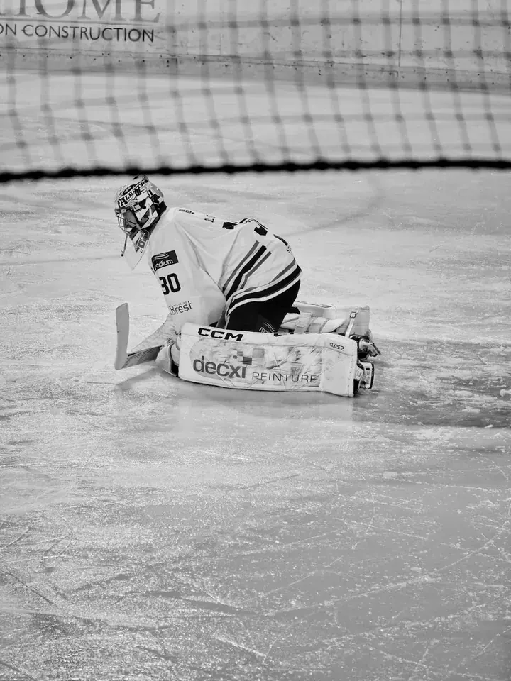 Building a Maple Leafs Fantasy Hockey Team: A Guide