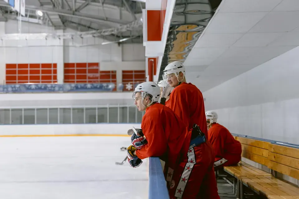 Maple Leafs Season Ticket Holder Guide: Benefits and Process